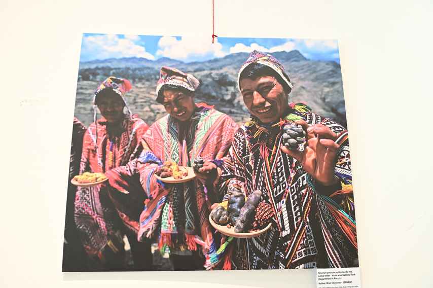 Trien Lam Anh Kham Pha Peru 09
